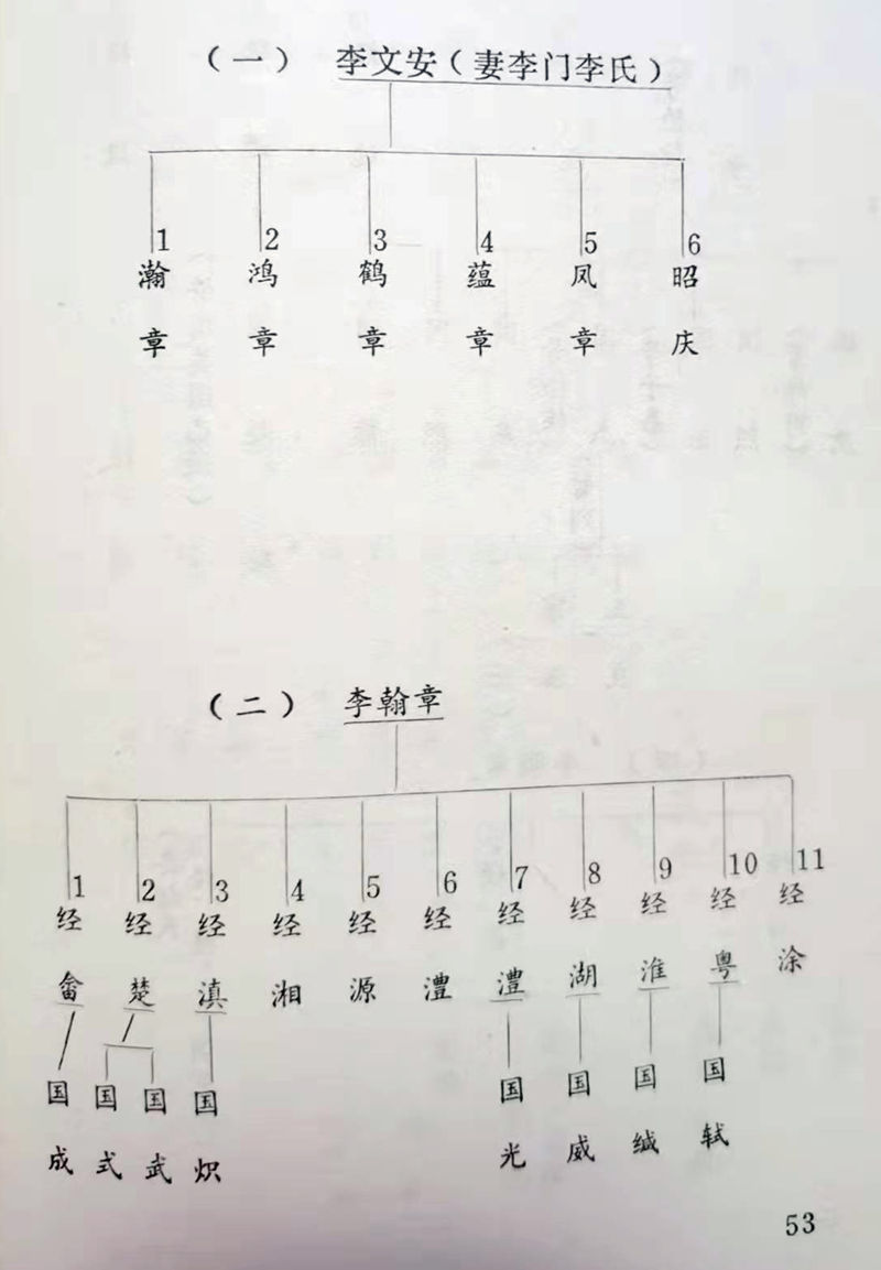 清廷大臣李鸿章家族在芜湖轶事琐闻（《芜湖文史资料1》第003篇）的头图